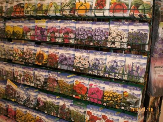 Resize of CIMG0530.JPG